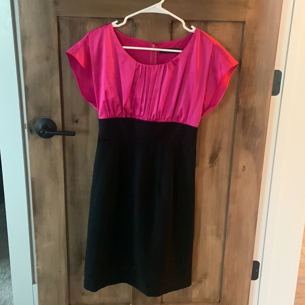 The Limited Dress - Picture 2 of 11